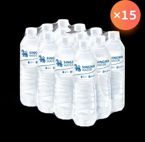 น้ำสิงห์เพ็ท ใหม่ (12x600CC) จำนวน 15 แพ็ก