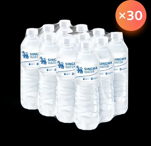 น้ำสิงห์เพ็ท ใหม่ (12x600CC) จำนวน 30 แพ็ก