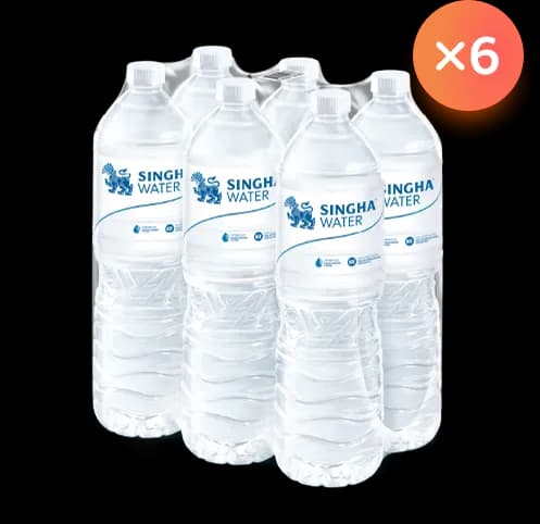 น้ำดื่มสิงห์ (1.5 ล. X 6 ขวด) จำนวน 6 แพ็ค