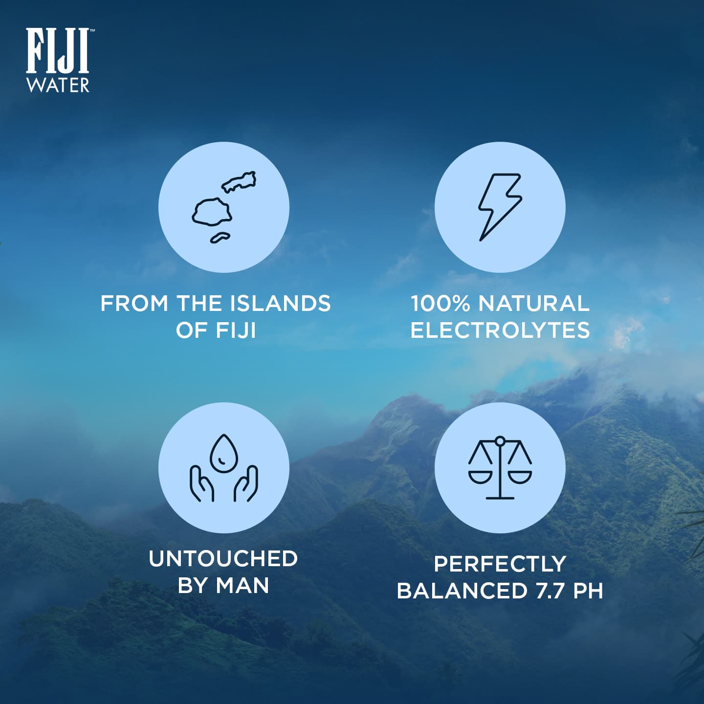 FIJI Water (1 L x 12 bottles) — 5/6