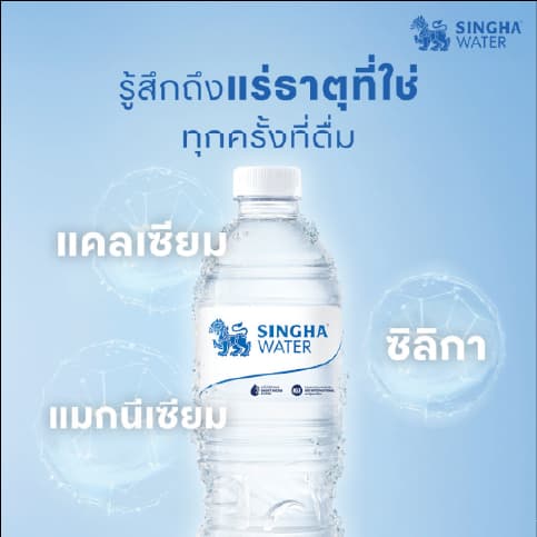 น้ำดื่มสิงห์ (330 มล. X 12 ขวด) จำนวน 6 แพ็ค — 4/4